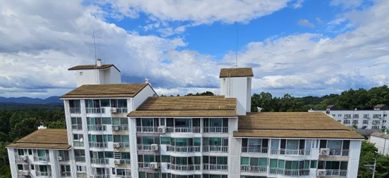 화면 캡처 2026-02-10 233447