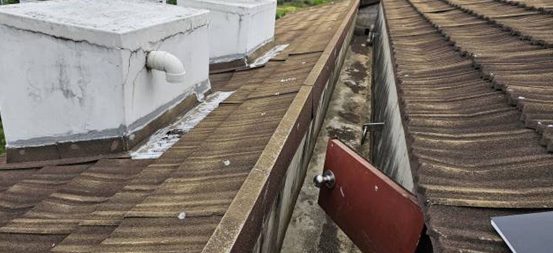 화면 캡처 2026-02-10 234641