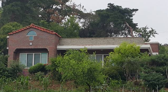 화면 캡처 2026-02-11 004918